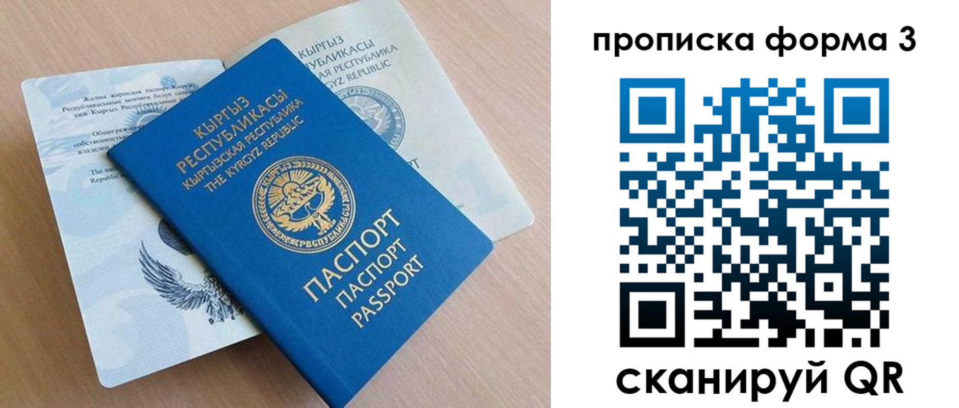 где прописаться в Коле