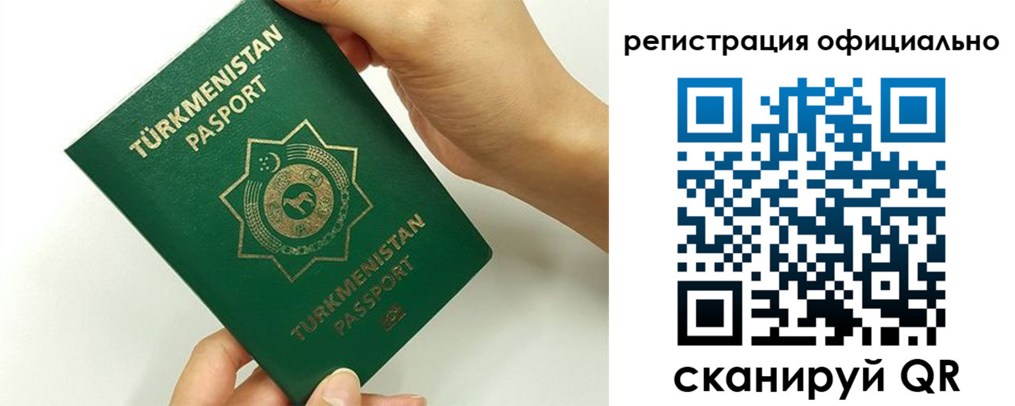 прописка поиск в Коле